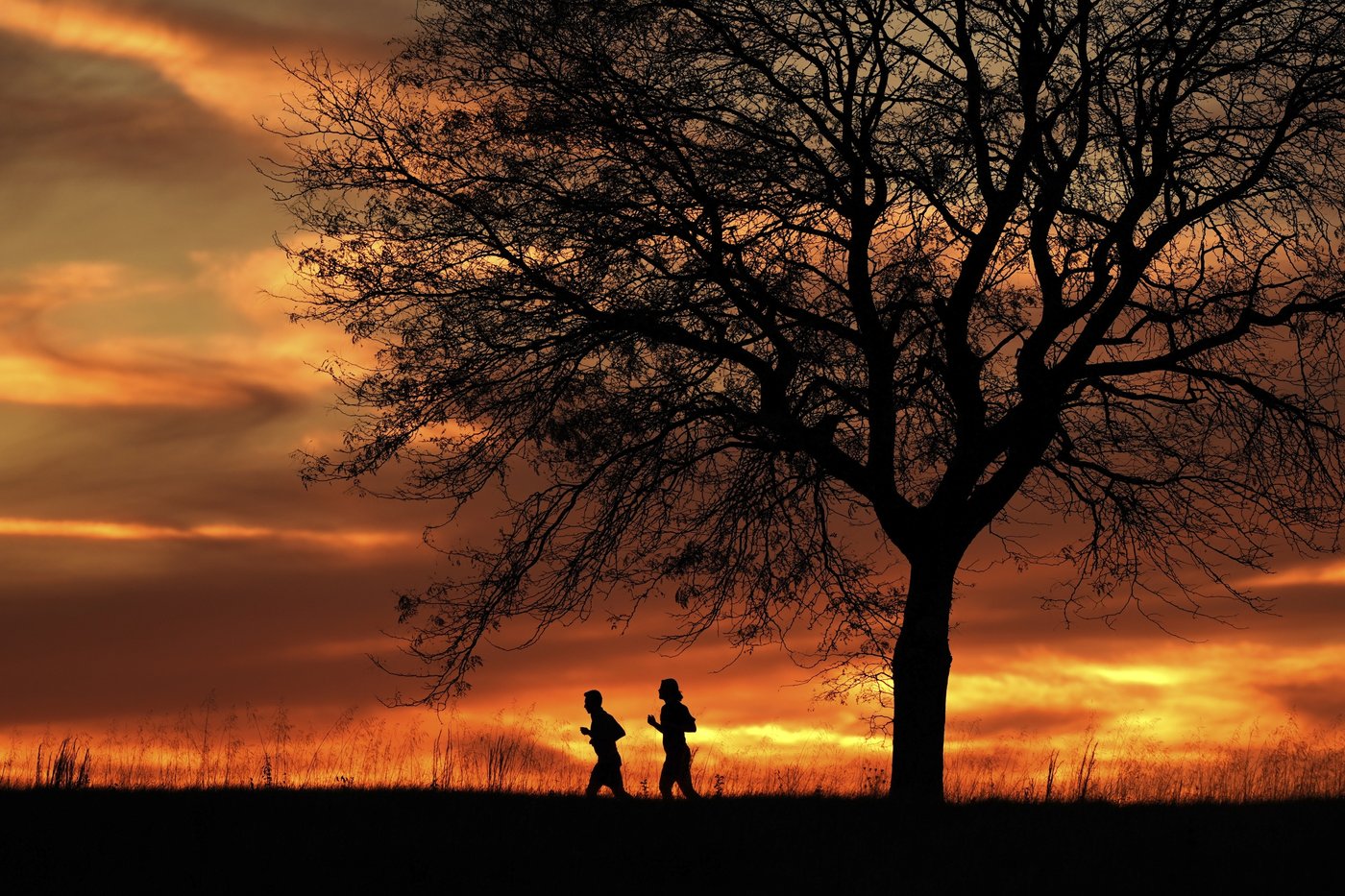 Second-warmest November on record means that 2024 is likely to be Earth's hottest year, report says | iNFOnews.ca