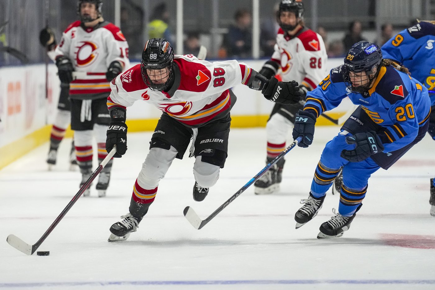 Edmonton looks to impress as expansion destination by hosting PWHL neutral-site game | iNFOnews.ca
