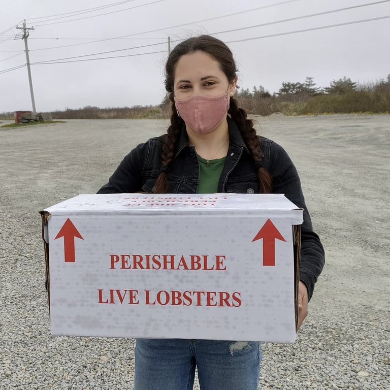 Researchers find microplastics in lobsters caught off the coast of Nova Scotia | iNFOnews.ca