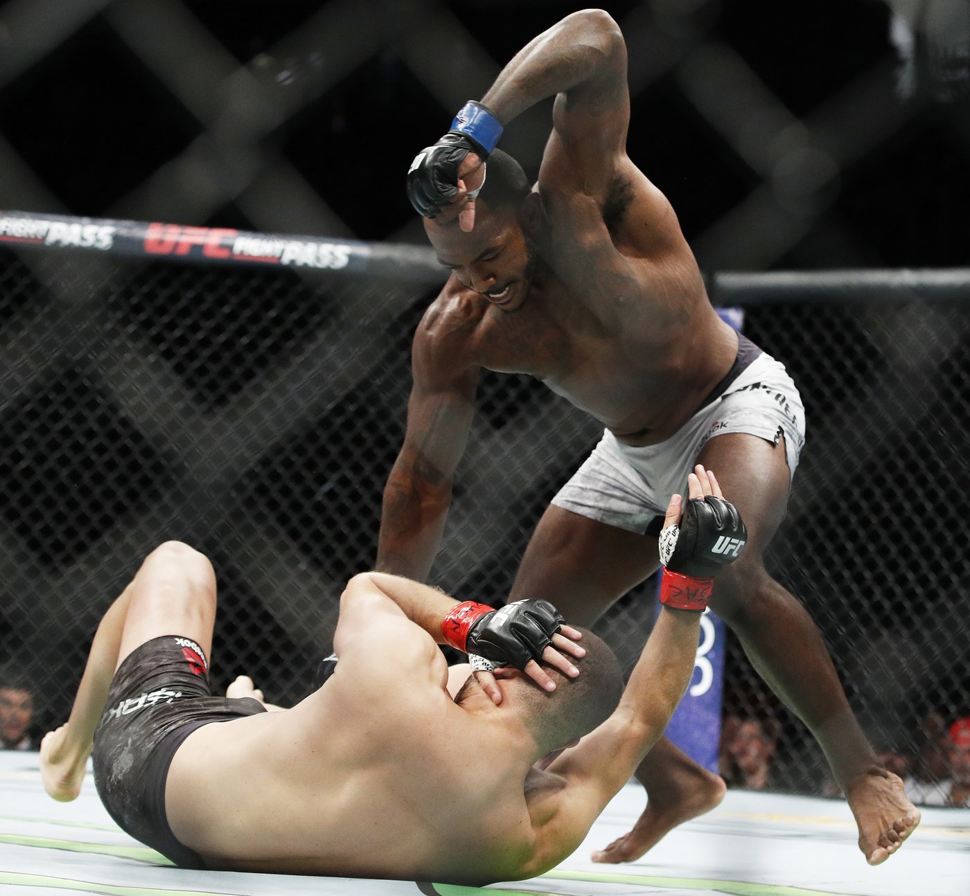 Alex Pereira returns to Utah for title bout against Khalil Rountree Jr. at UFC 307 | iNFOnews.ca Alex Pereira returns to Utah for title bout against Khalil Rountree Jr. at UFC 307 | iNFOnews.ca