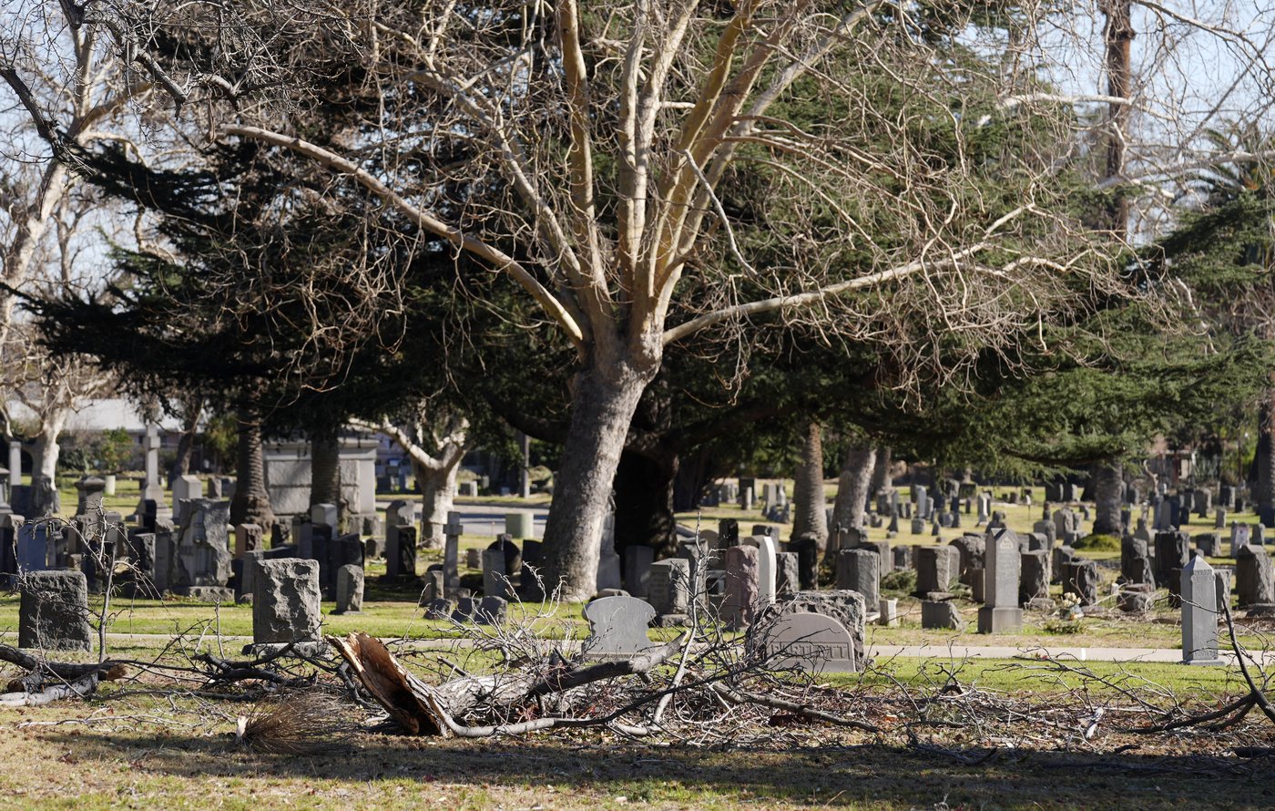 Octavia Butler imagined LA ravaged by fires. Her Altadena cemetery survived | iNFOnews.ca