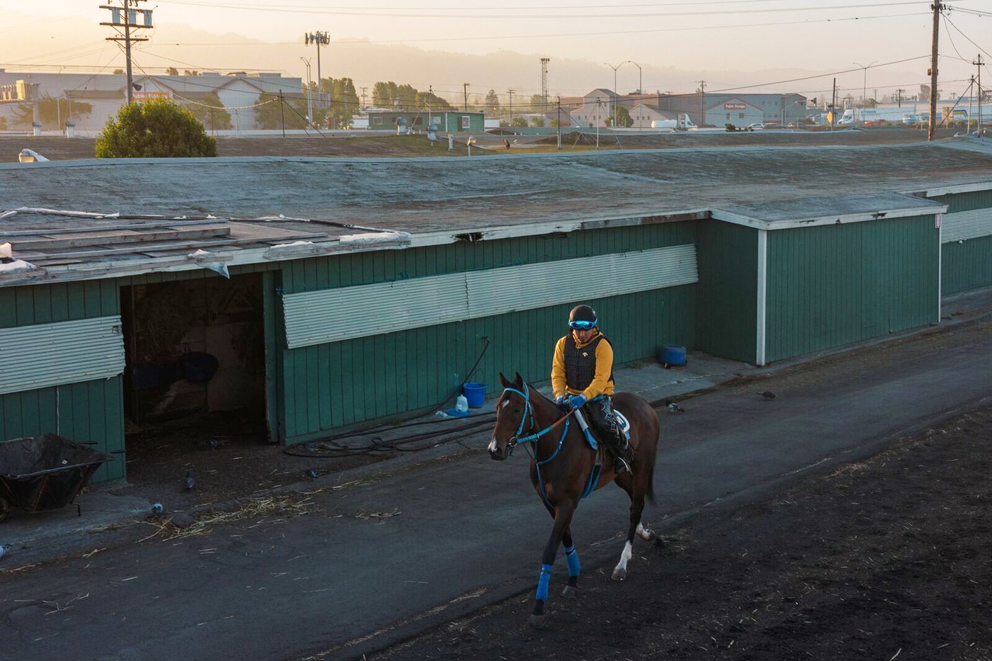 Golden Gate Fields could soon turn into a public park | iNFOnews.ca Golden Gate Fields could soon turn into a public park | iNFOnews.ca