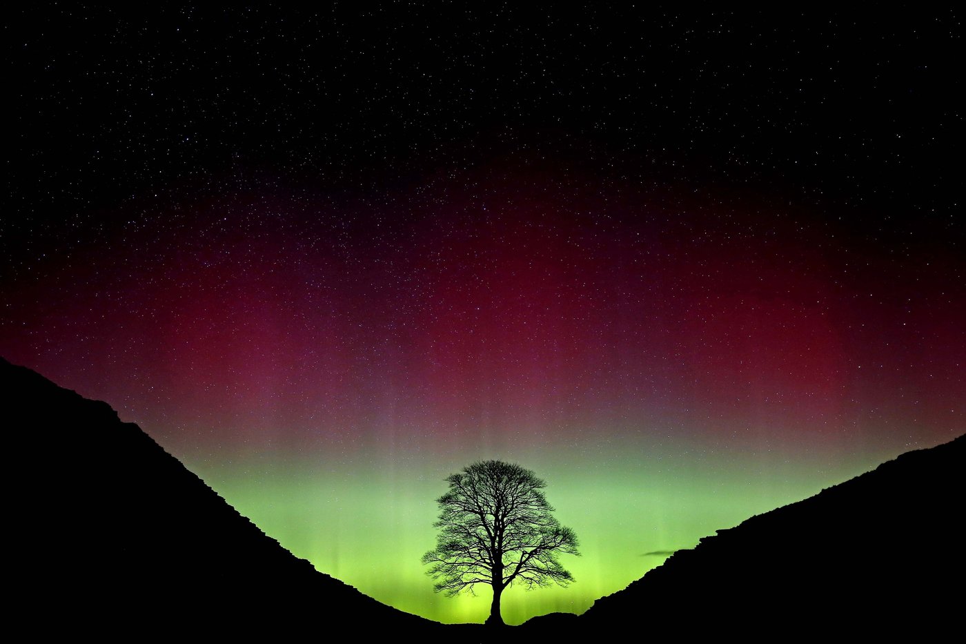 Sycamore Gap tree took more than a century to grow and less than 3 minutes to fell, prosecutors say | iNFOnews.ca Sycamore Gap tree took more than a century to grow and less than 3 minutes to fell, prosecutors say | iNFOnews.ca