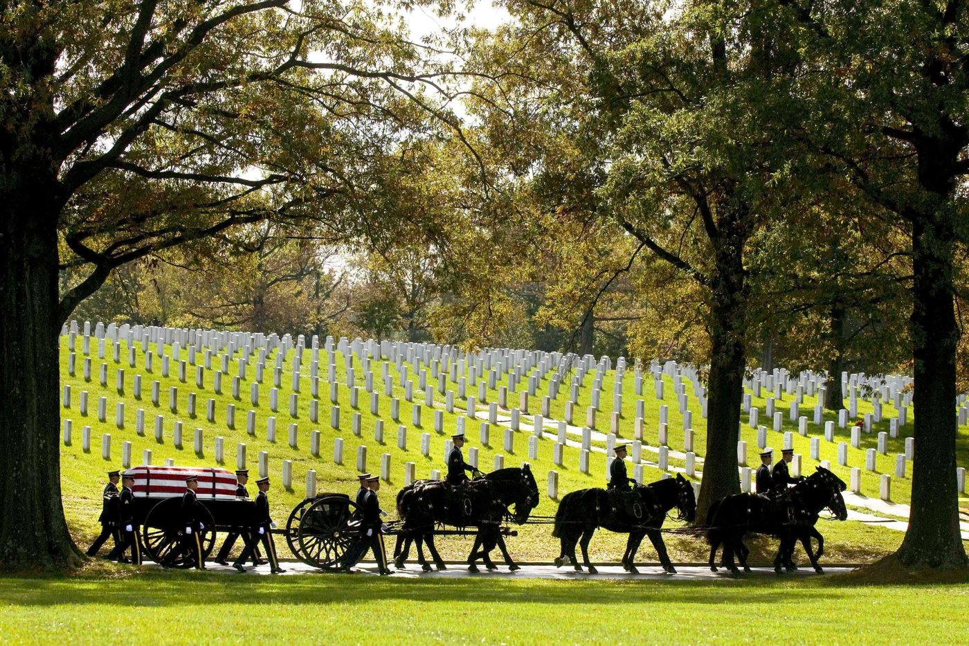 Army will end most of its ceremonial horse programs and adopt out the animals | iNFOnews.ca Army will end most of its ceremonial horse programs and adopt out the animals | iNFOnews.ca