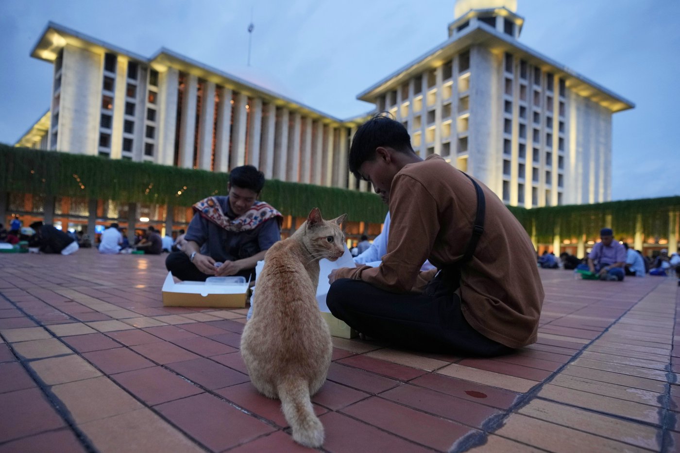 Ramadan ushers in a month of fasting, worship and charity for Muslims, in photos | iNFOnews.ca