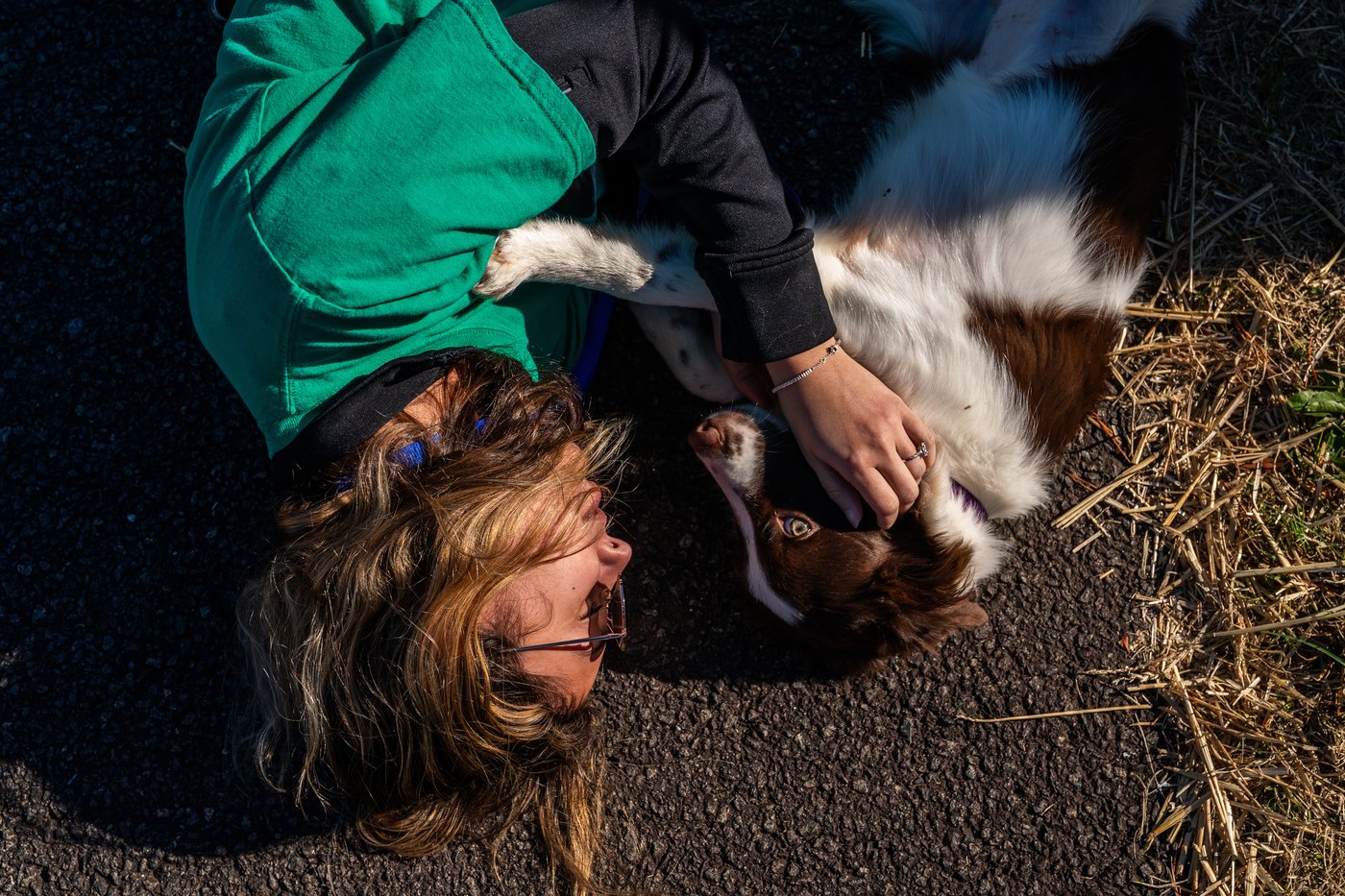 Shelter pets rescued by the revitalized Seuk’s Army in photos | iNFOnews.ca