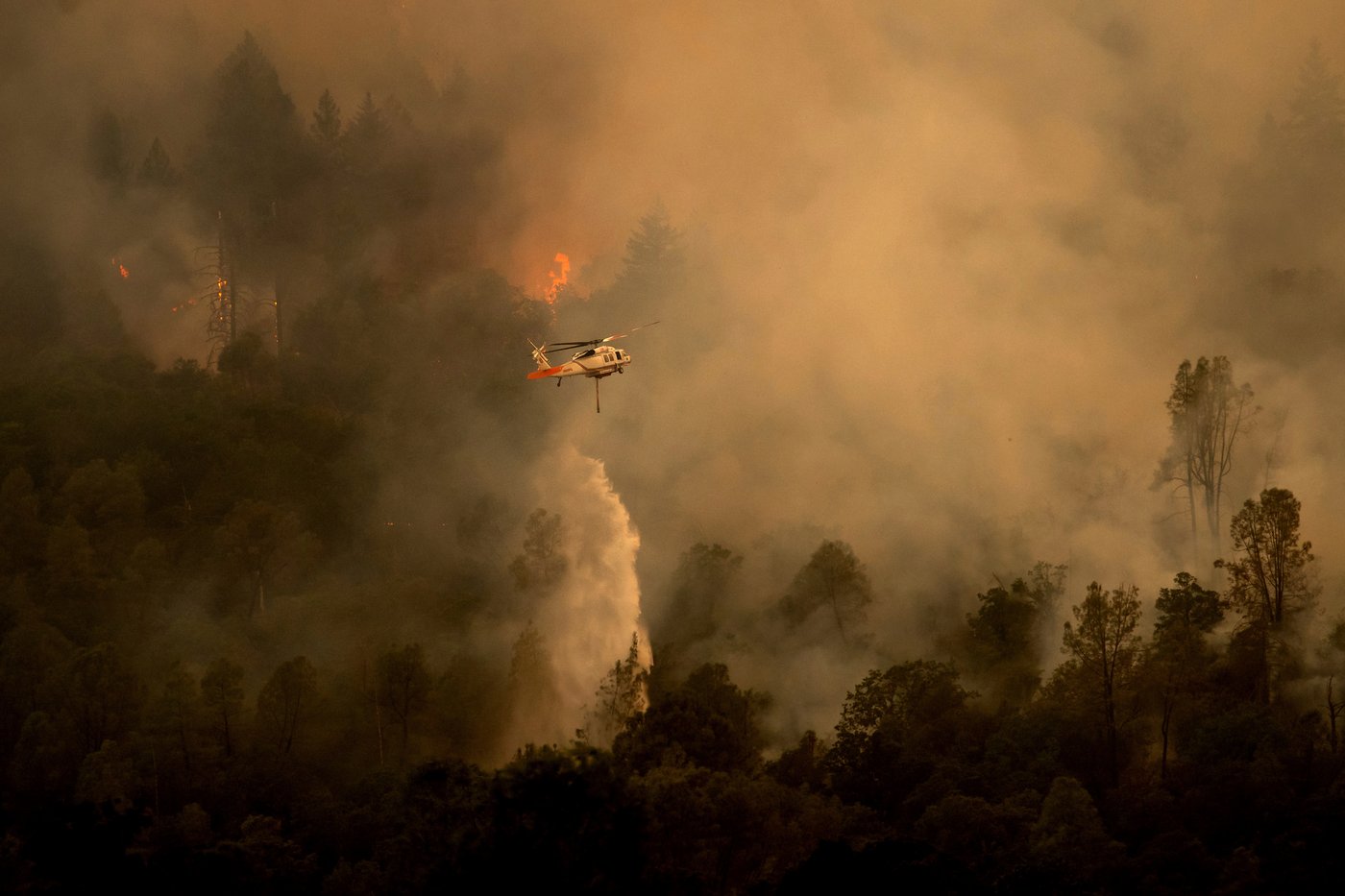 Study finds warming world increases days when weather is prone to fires around the globe | iNFOnews.ca