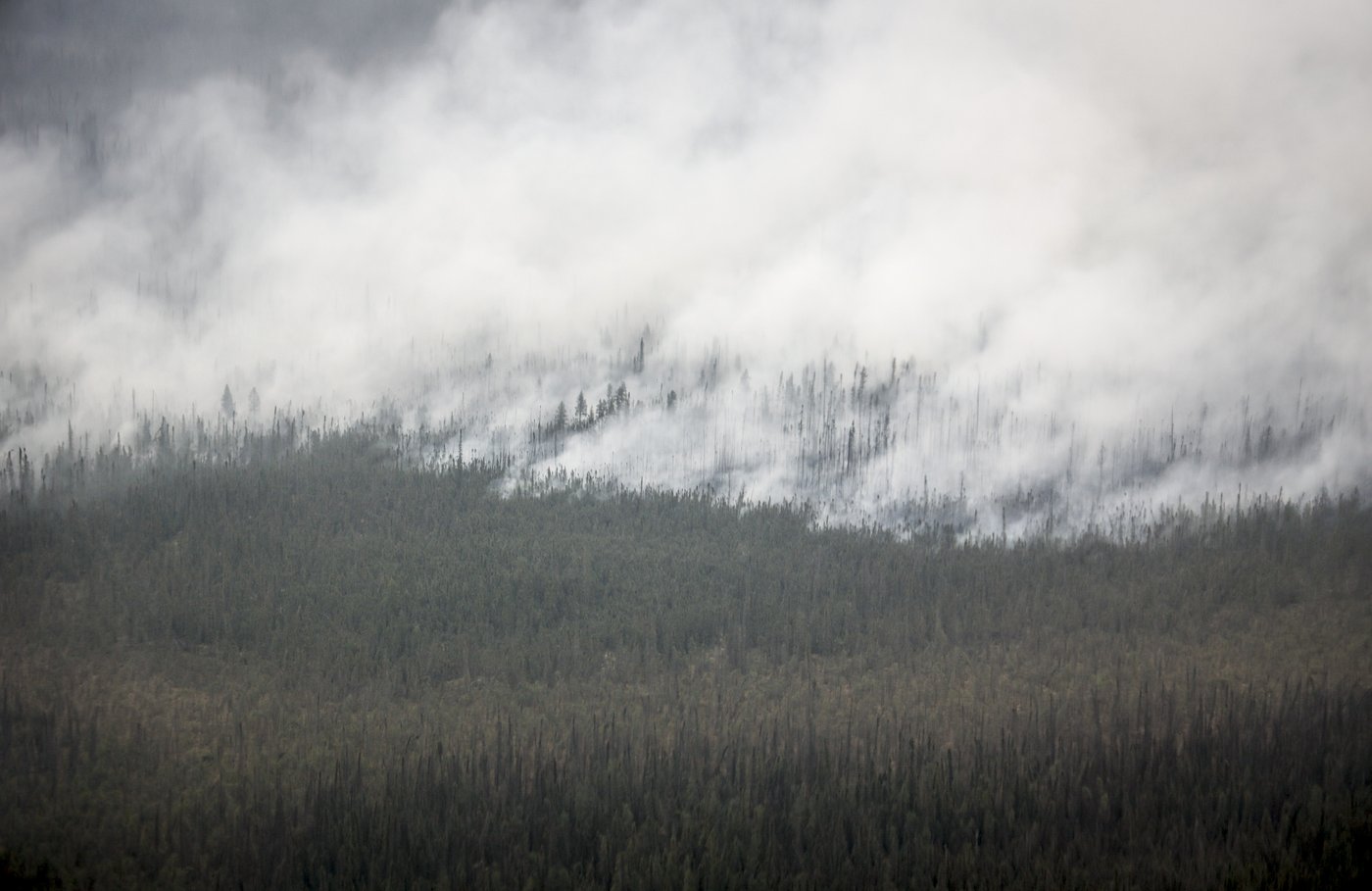 Environment groups calls for swift climate policies ahead of fall Parliament session | iNFOnews.ca