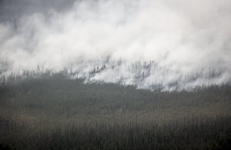 Environment groups calls for swift climate policies ahead of fall Parliament session | iNFOnews.ca