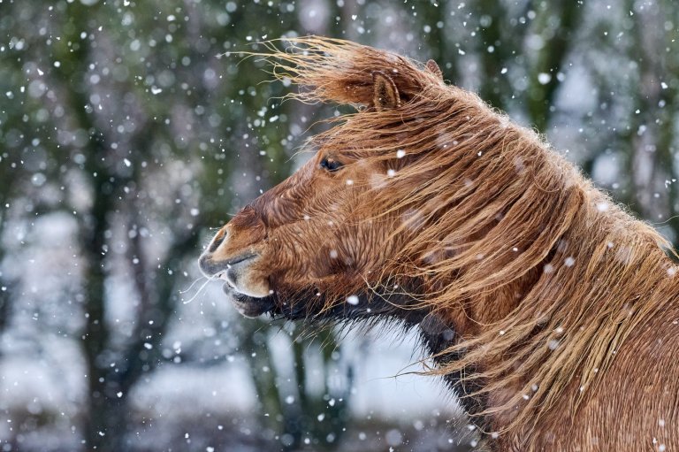 The top photos of the day by AP's photojournalists | iNFOnews.ca