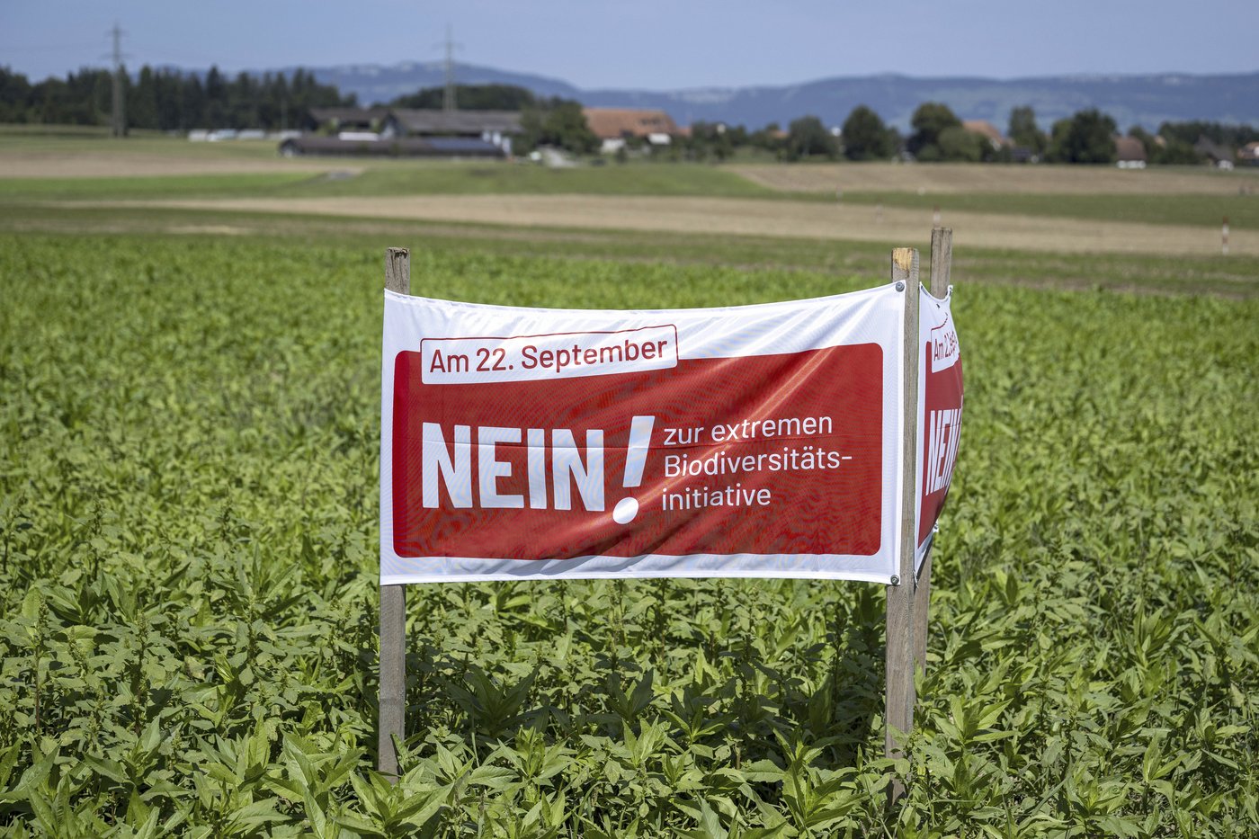 Birds, bees and ballots: Swiss voters to decide on plan to bolster country's fragile biodiversity | iNFOnews.ca Birds, bees and ballots: Swiss voters to decide on plan to bolster country's fragile biodiversity | iNFOnews.ca