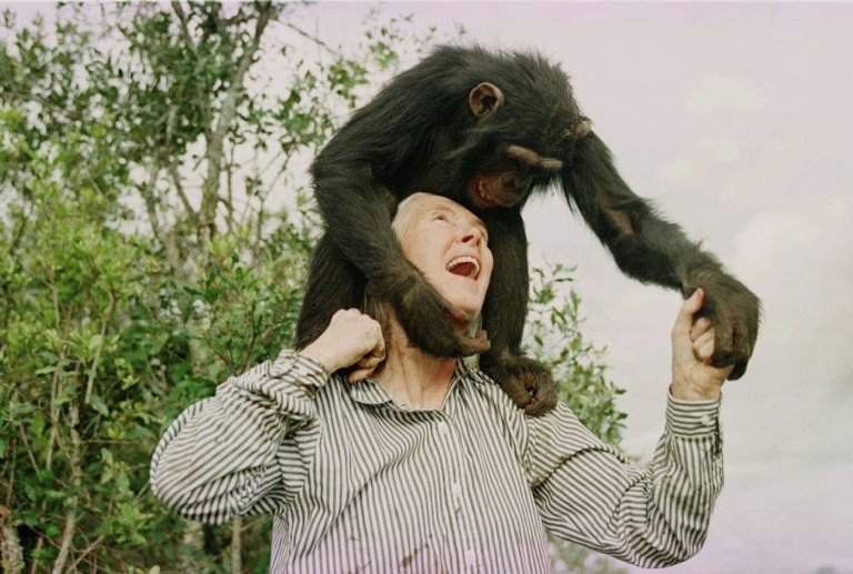 Remembering Jane Goodall in photos: the conservationist renowned for chimpanzee research | iNFOnews.ca