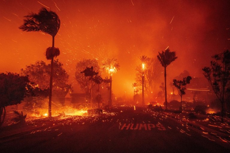 These numbers tell the story of the Los Angeles wildfires, one year later | iNFOnews.ca