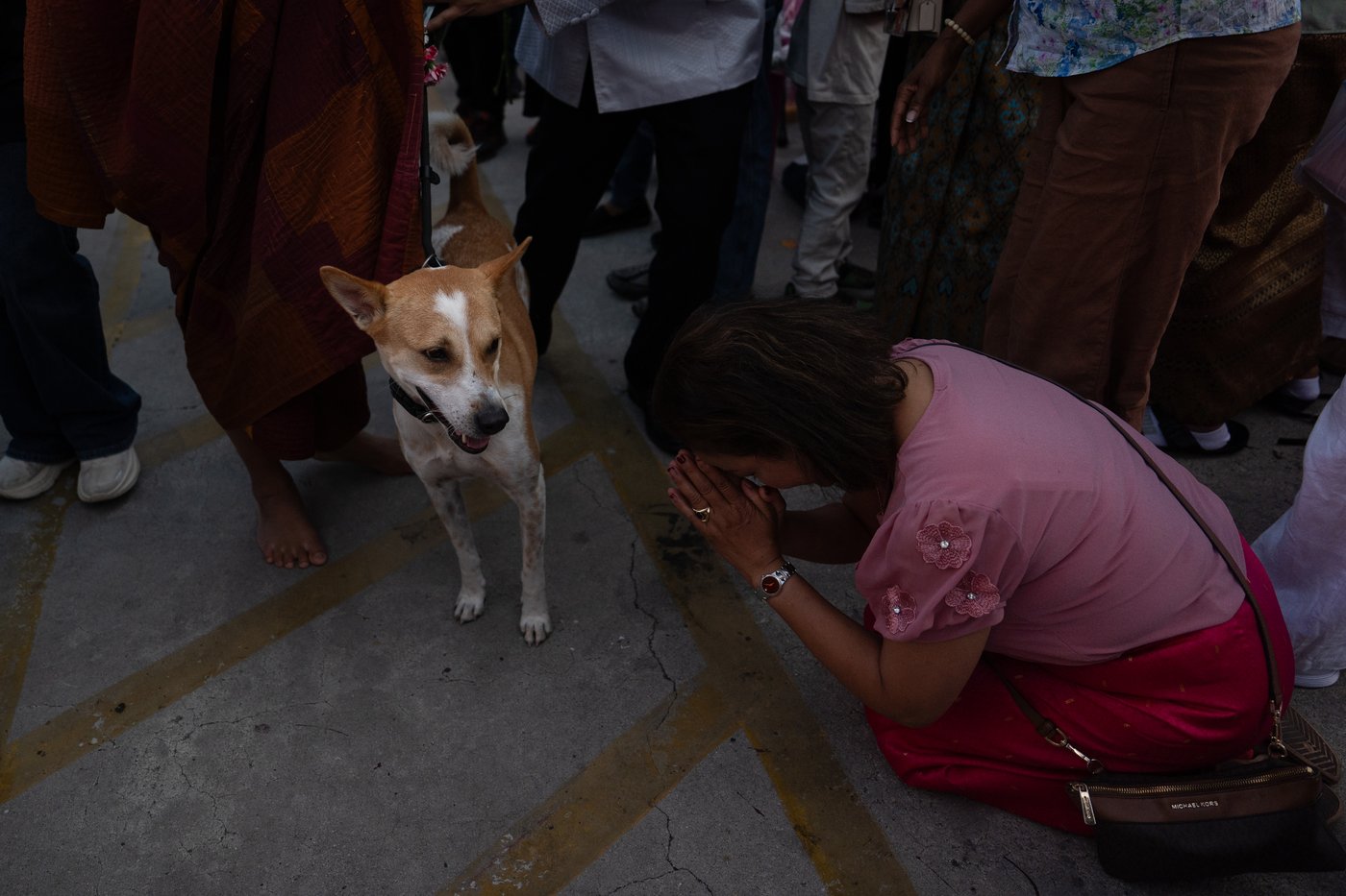 How a 2,300-mile Walk for Peace thrust a Texas monk and his rescue dog into the spotlight | iNFOnews.ca How a 2,300-mile Walk for Peace thrust a Texas monk and his rescue dog into the spotlight | iNFOnews.ca