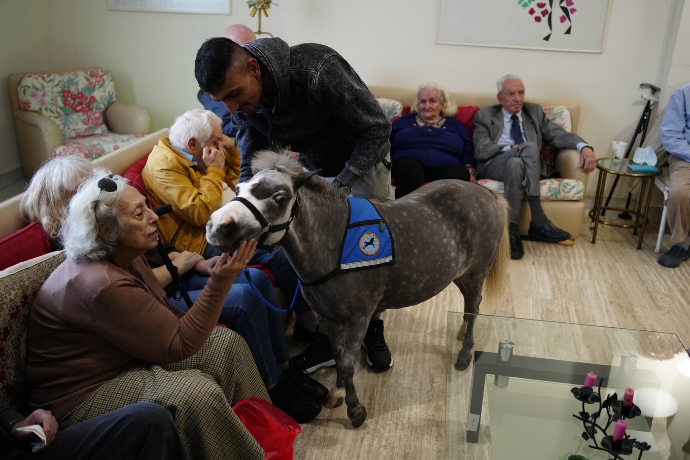 Greece's only miniature therapy horses bring joy to many, but their charity is struggling | iNFOnews.ca
