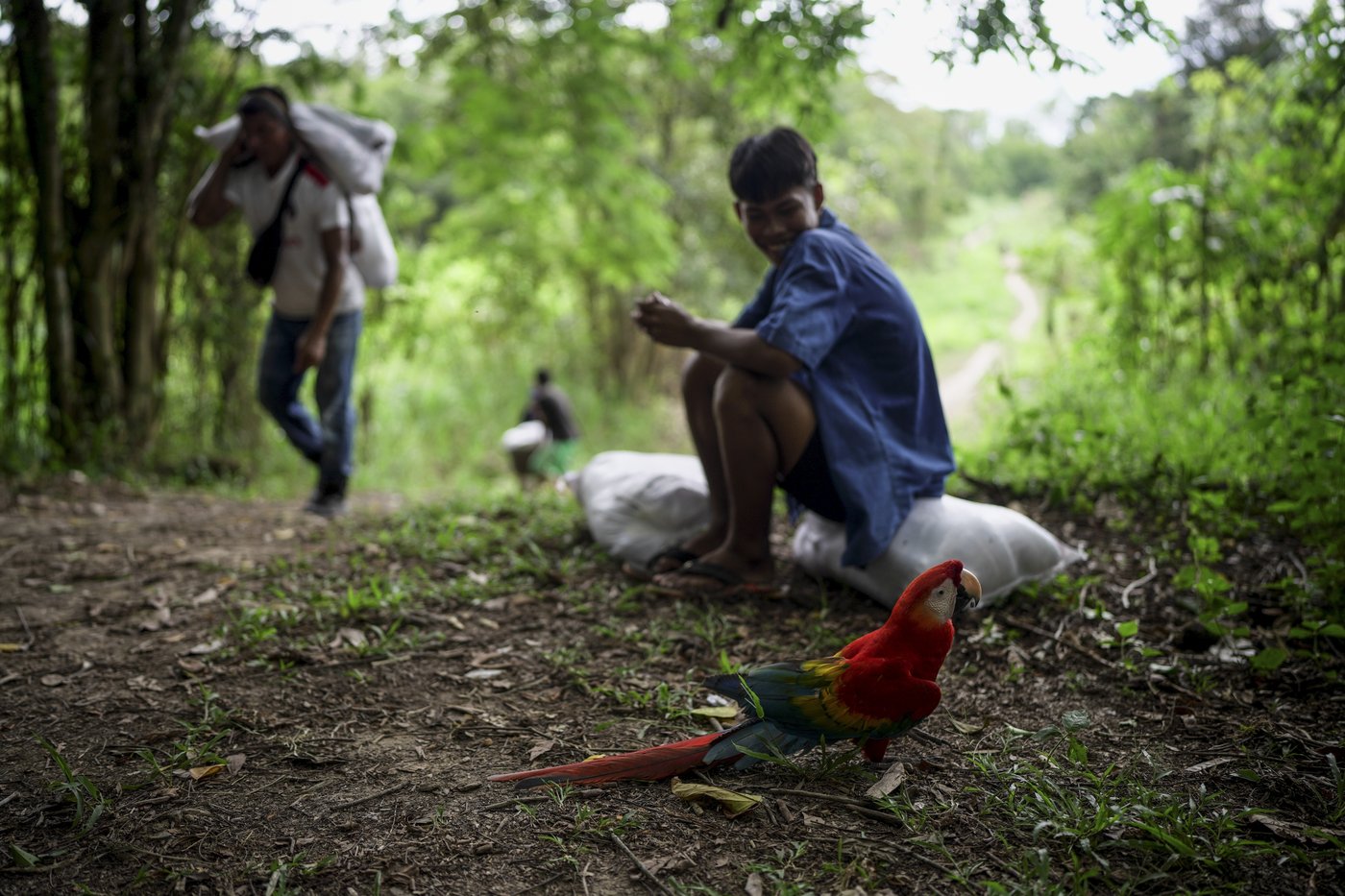 In Colombia, Amazon River's extreme drought falls hard on Indigenous communities | iNFOnews.ca