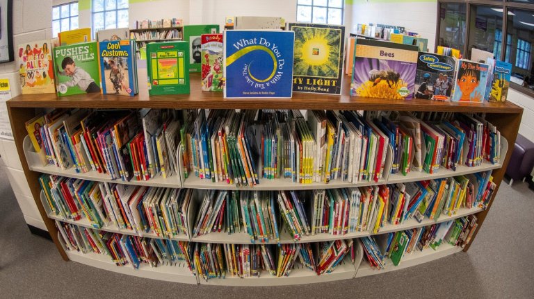 From book bans to basement makeovers: 10 win I Love My Librarian Award for making a difference | iNFOnews.ca