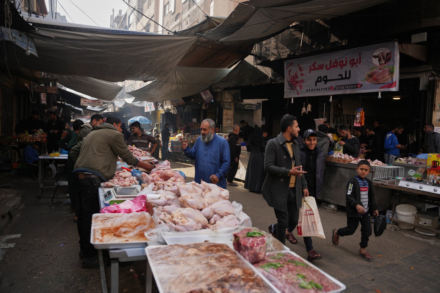 Spread of famine in Gaza Strip averted but Palestinians there still face starvation, experts say | iNFOnews.ca Spread of famine in Gaza Strip averted but Palestinians there still face starvation, experts say | iNFOnews.ca