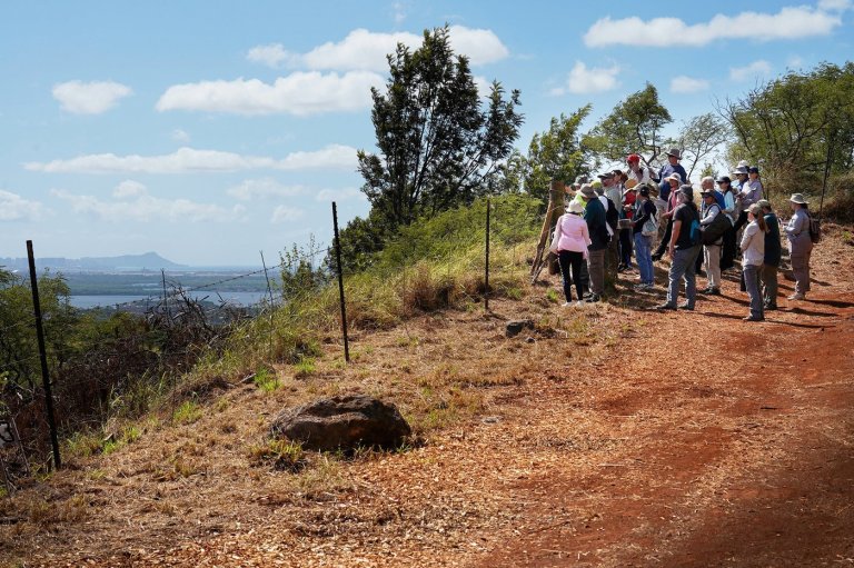 In A Hidden Hawaiʻi Gulch, A Wartime Secret Opens To The Public | iNFOnews.ca