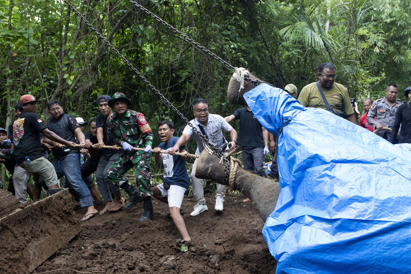A zoo elephant dies in Indonesia after being swept away in a river | iNFOnews.ca