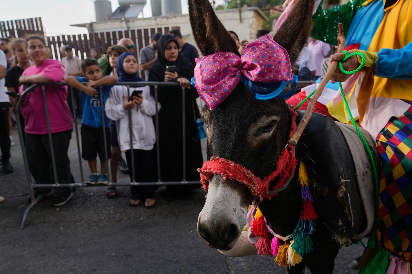 Donkeys don bows and sunglasses for a summer race in southern Lebanon, in photos | iNFOnews.ca