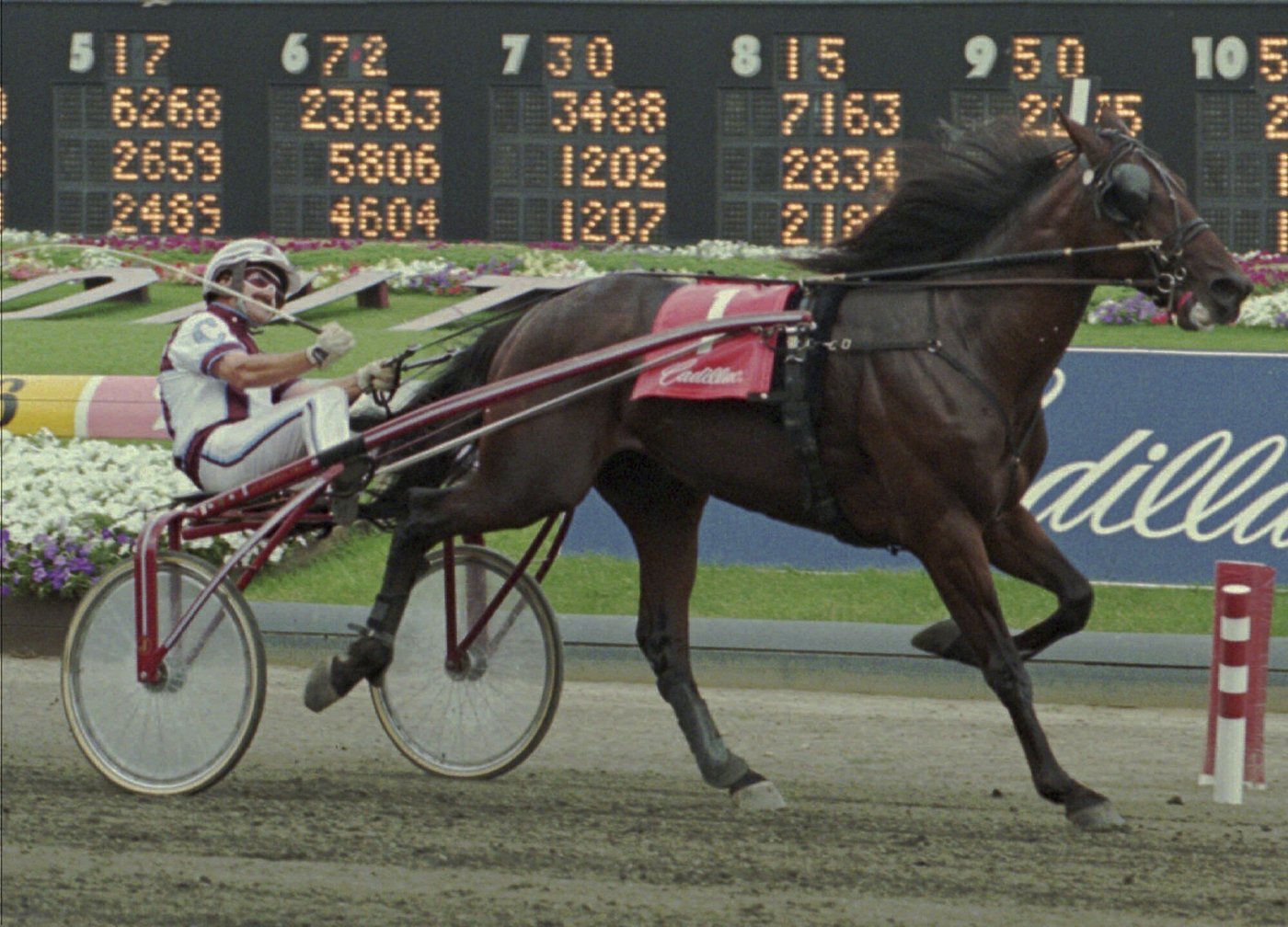 100th running of the Hambletonian marks a century of the biggest event in harness racing | iNFOnews.ca 100th running of the Hambletonian marks a century of the biggest event in harness racing | iNFOnews.ca