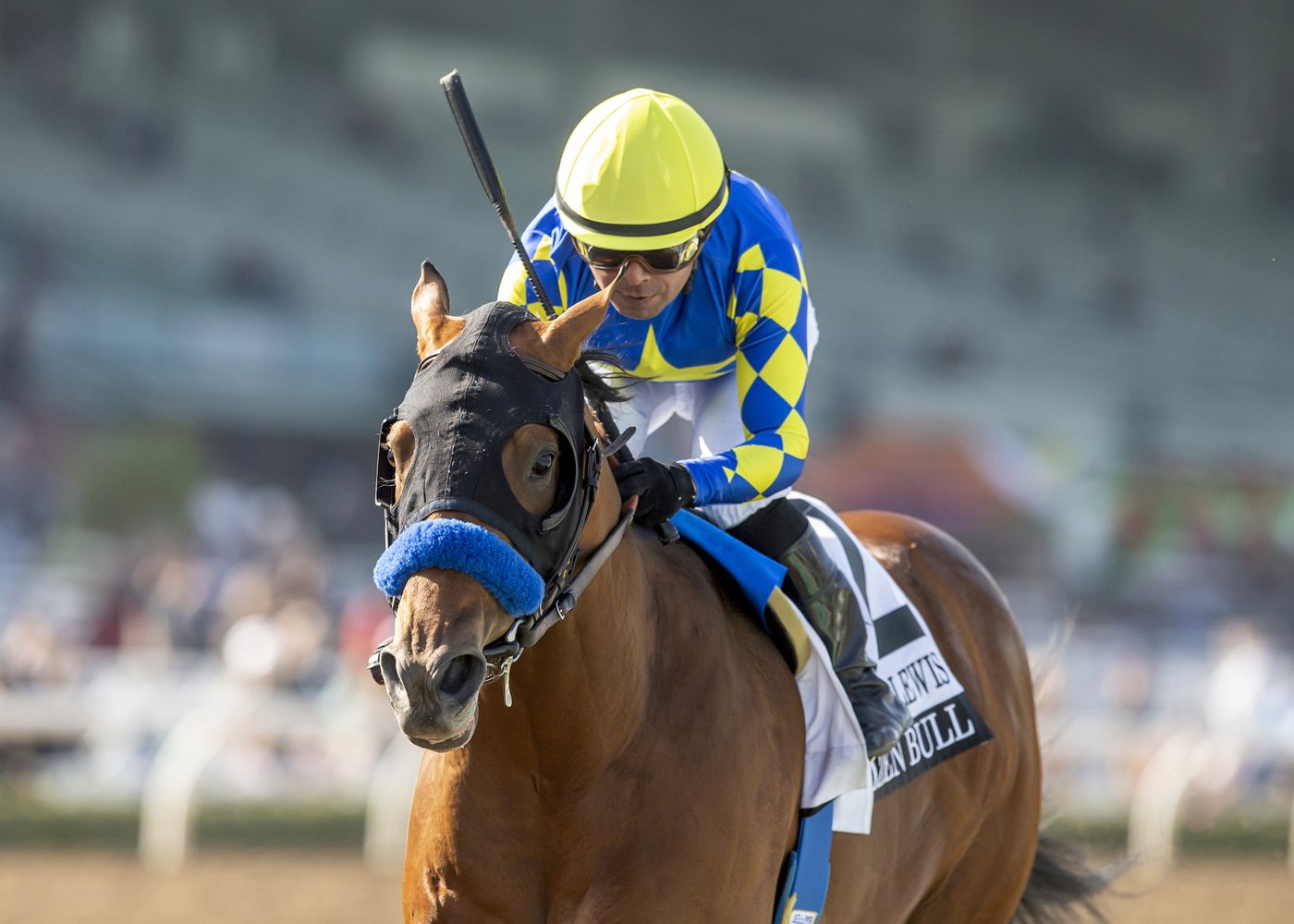 373 horses nominated to compete in Triple Crown series, with trainer Todd Pletcher having 32 | iNFOnews.ca 373 horses nominated to compete in Triple Crown series, with trainer Todd Pletcher having 32 | iNFOnews.ca