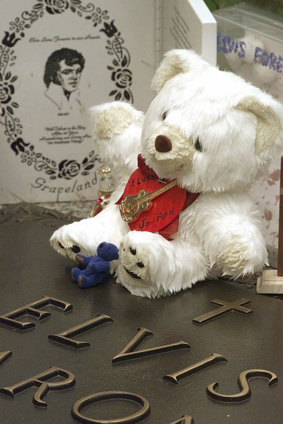 A raggedy toy to a treasured symbol of childhood: The teddy bear | iNFOnews.ca A raggedy toy to a treasured symbol of childhood: The teddy bear | iNFOnews.ca