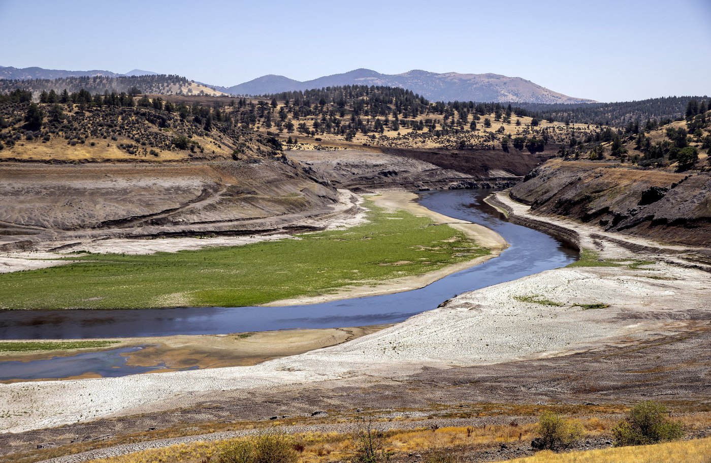 Salmon swim freely in the Klamath River for 1st time in a century after dams removed | iNFOnews.ca