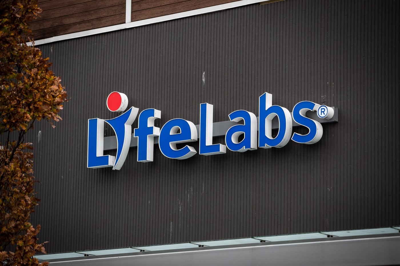 LifeLabs data breach report released after firm loses four-year bid to keep it quiet | iNFOnews.ca
