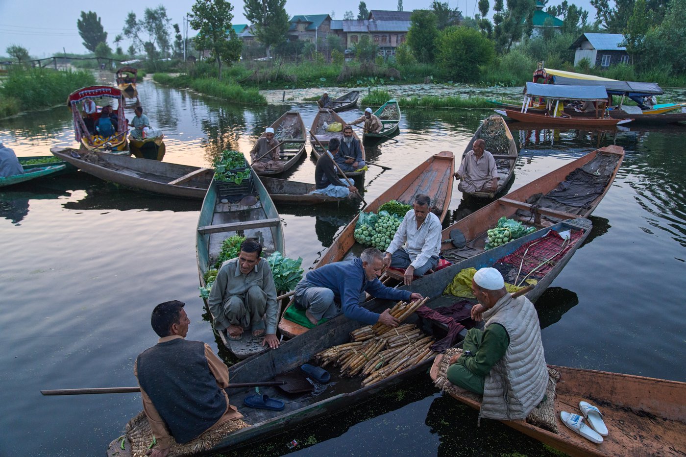 Warming climate, pollution and unplanned growth push Kashmir’s lakes toward disappearance | iNFOnews.ca