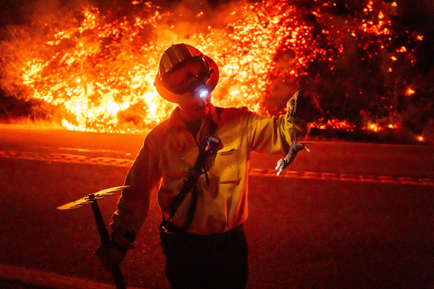 Wildfires burn along California's scenic Big Sur coast, in photos | iNFOnews.ca