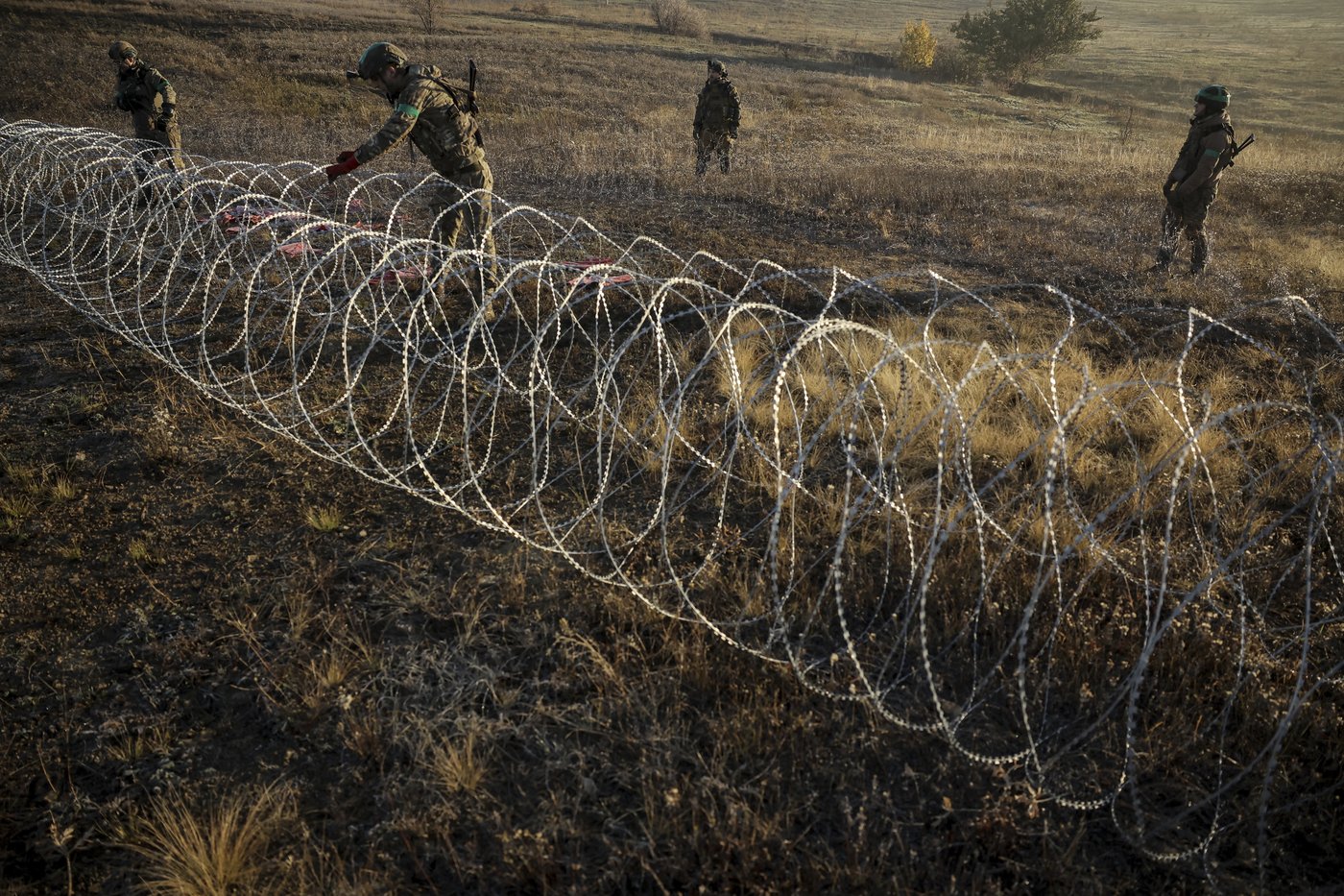 Ukraine's Zelenskyy urges allies to take steps before North Korean troops reach the front | iNFOnews.ca Ukraine's Zelenskyy urges allies to take steps before North Korean troops reach the front | iNFOnews.ca