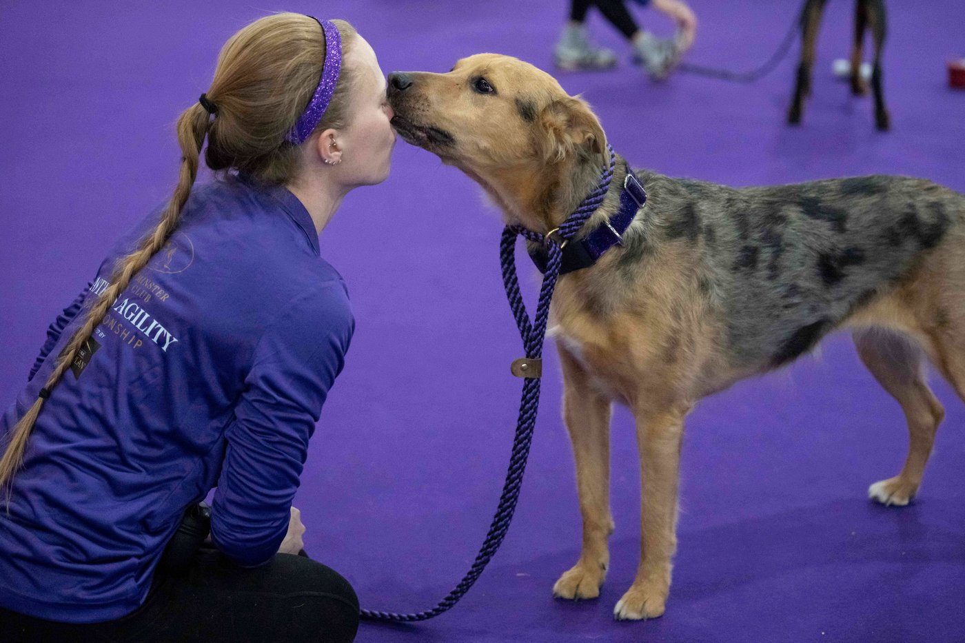 Photo Gallery: The Westminster dog show | iNFOnews.ca