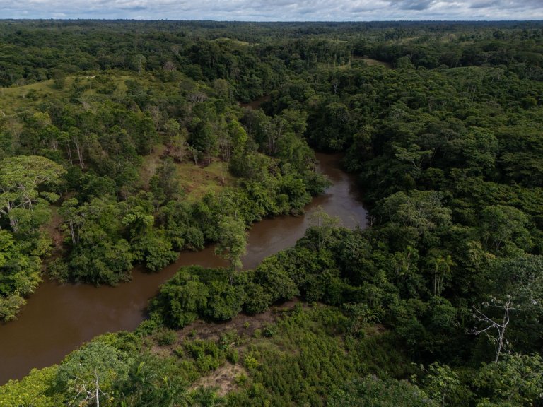 Colombia's deforestation rises slightly as Amazon forest loss holds steady | iNFOnews.ca