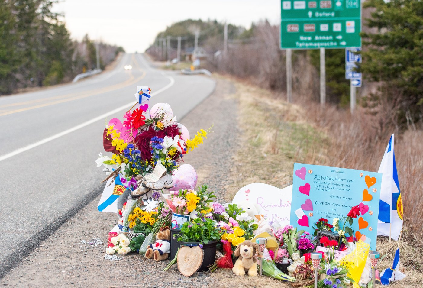 Gender-based violence spikes five years after Nova Scotia mass shooting | iNFOnews.ca