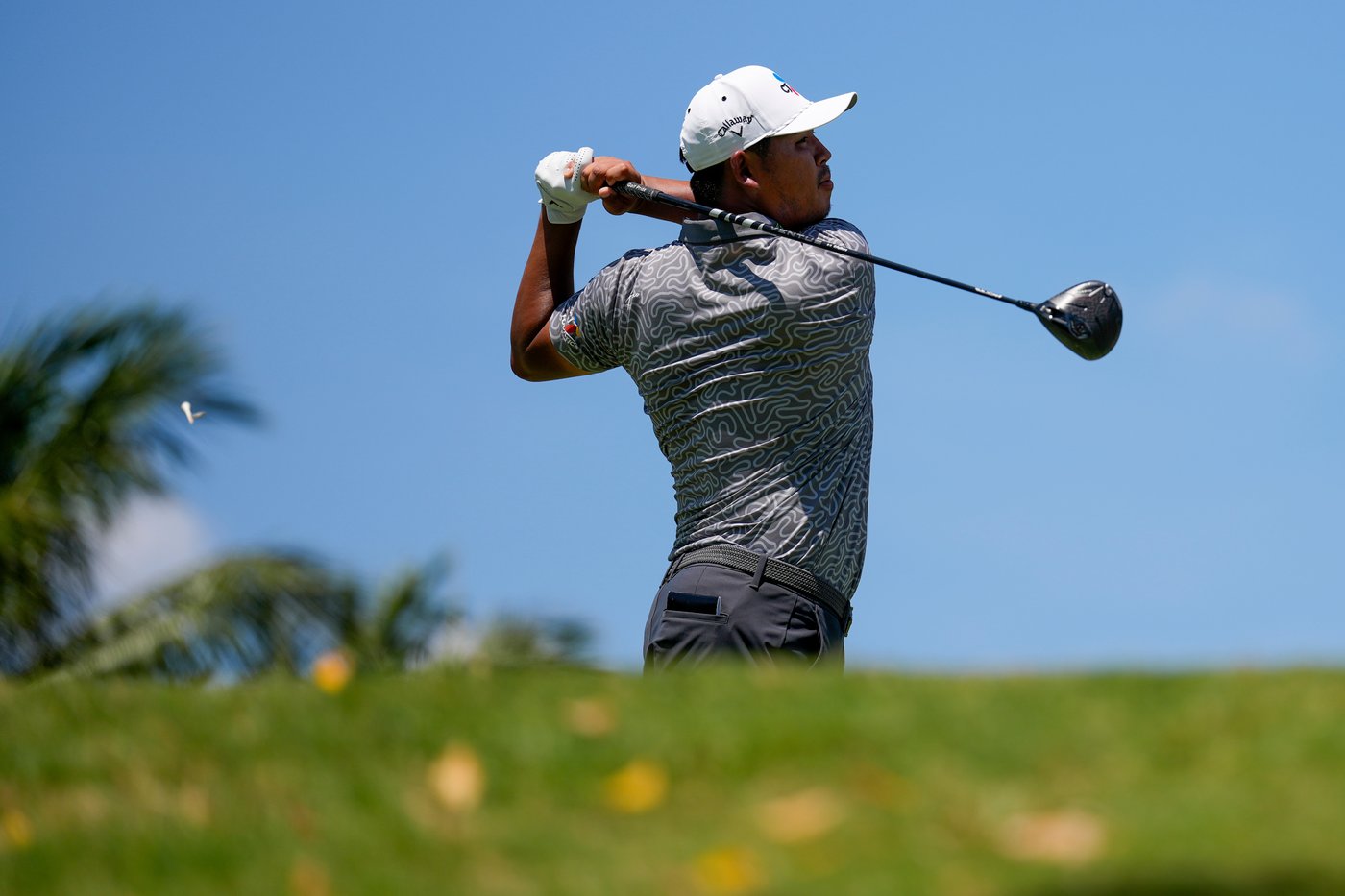 Young in control at Doral, leads Cadillac Championship with rain in forecast | iNFOnews.ca Young in control at Doral, leads Cadillac Championship with rain in forecast | iNFOnews.ca