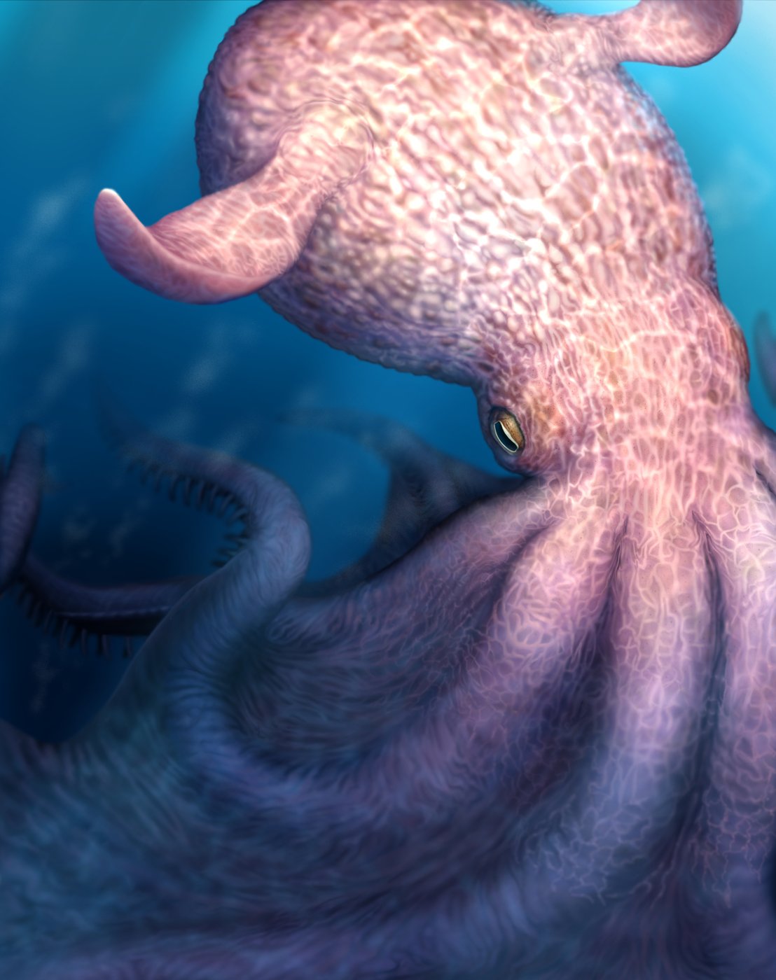 A massive kraken-like octopus may have prowled the seas during the age of dinosaurs | iNFOnews.ca A massive kraken-like octopus may have prowled the seas during the age of dinosaurs | iNFOnews.ca