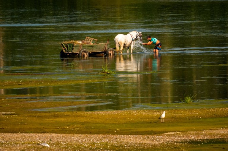 Central Europe swelters and Slovakia and Austria hit their record high temperatures | iNFOnews.ca
