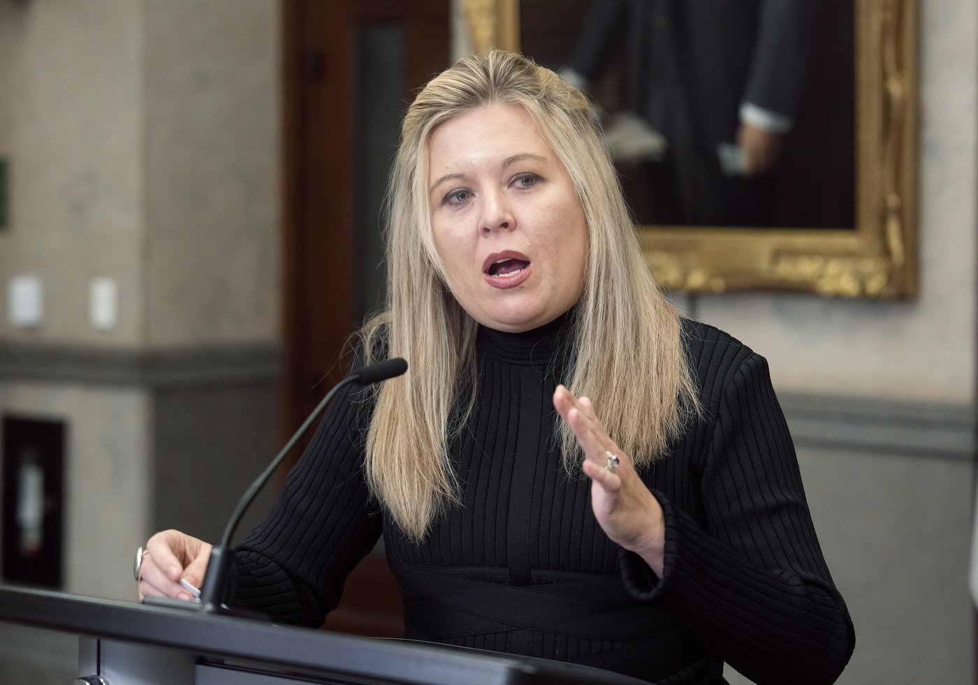 Conservatives plan to try and amend asylum system rules in border security bill | iNFOnews.ca