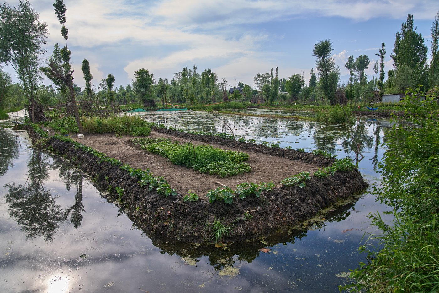 Warming climate, pollution and unplanned growth push Kashmir’s lakes toward disappearance | iNFOnews.ca