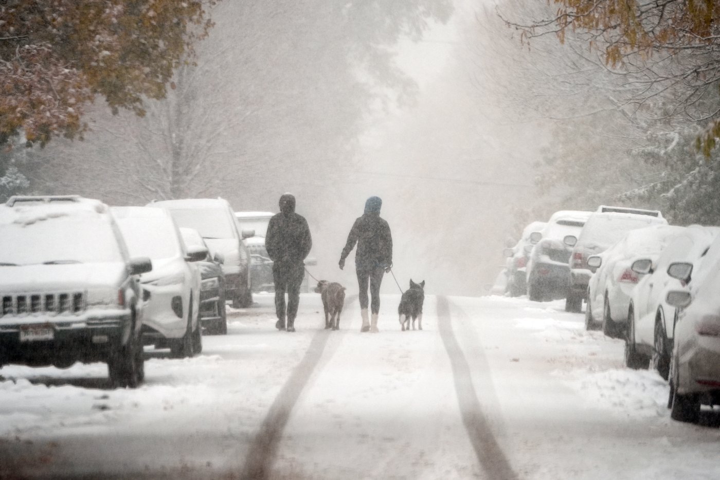 PHOTO COLLECTION: AP Top Photos of the Day, Friday, November 8, 2024 | iNFOnews.ca PHOTO COLLECTION: AP Top Photos of the Day, Friday, November 8, 2024 | iNFOnews.ca