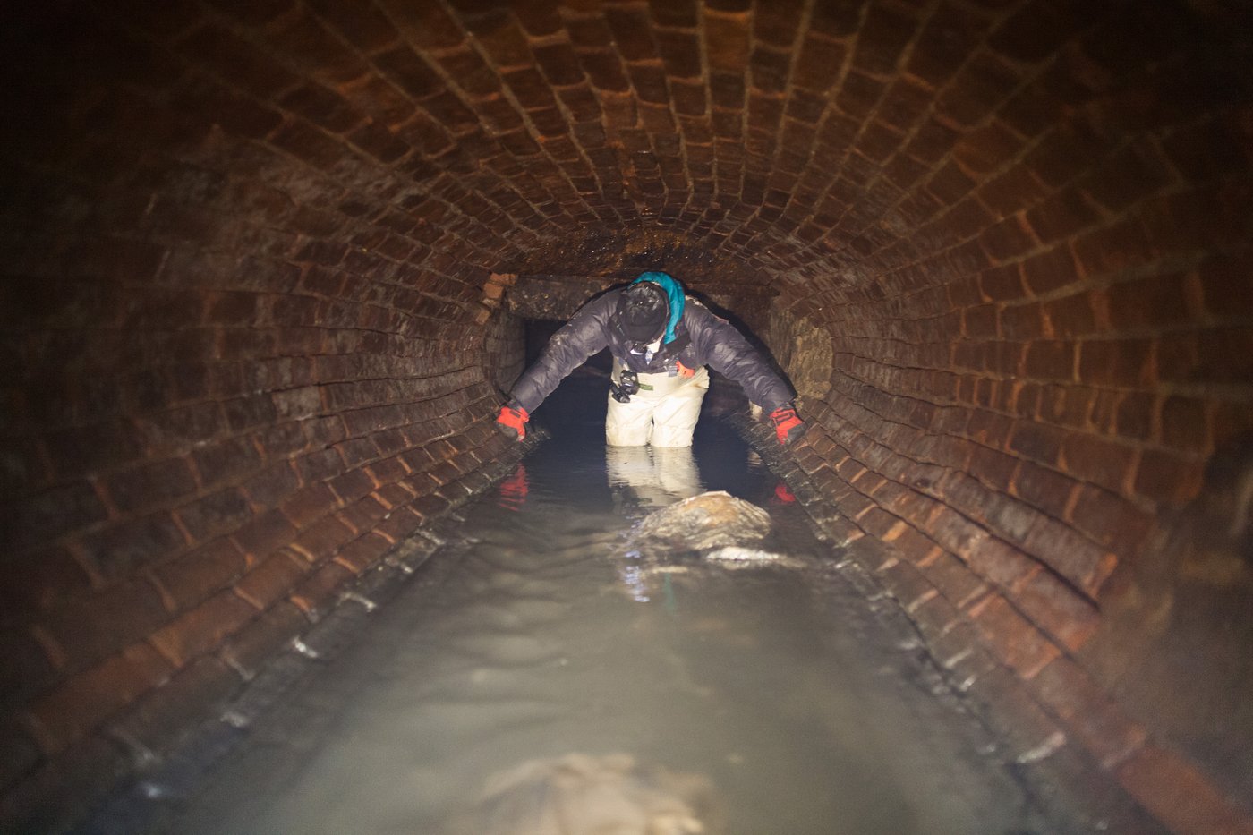 What it's like to go inside New York City's dank, dangerous, bug-filled sewers | iNFOnews.ca