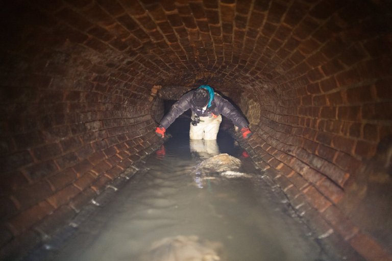 What it's like to go inside New York City's dank, dangerous, bug-filled sewers | iNFOnews.ca