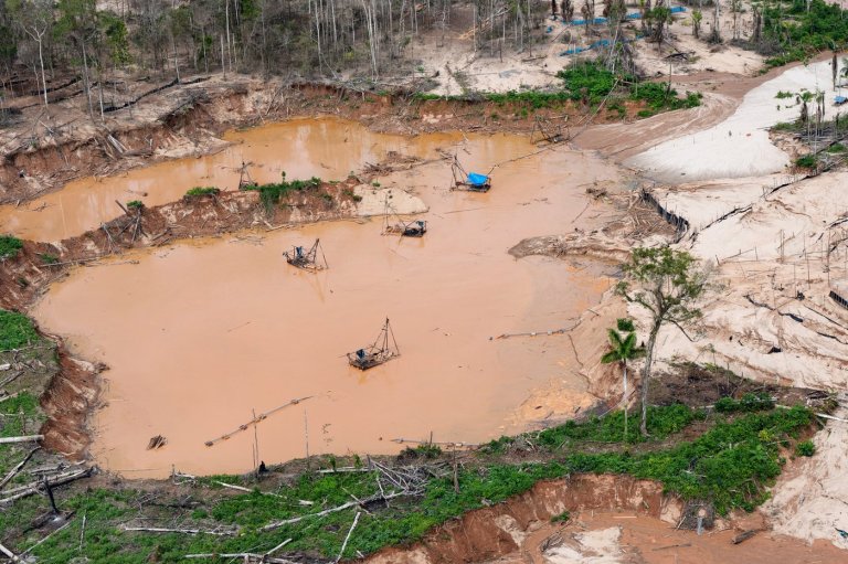 Human rights commission urges oversight of technology used in Latin American environmental crime | iNFOnews.ca