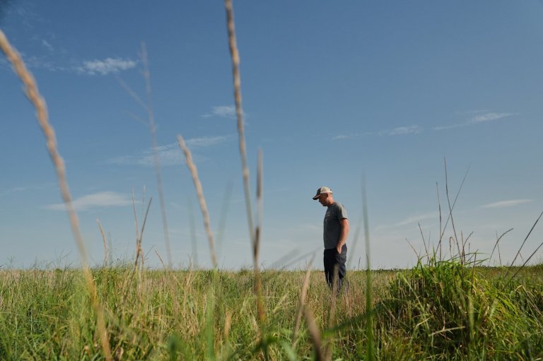 Farmers turn to perennial grains as one solution to extreme weather | iNFOnews.ca
