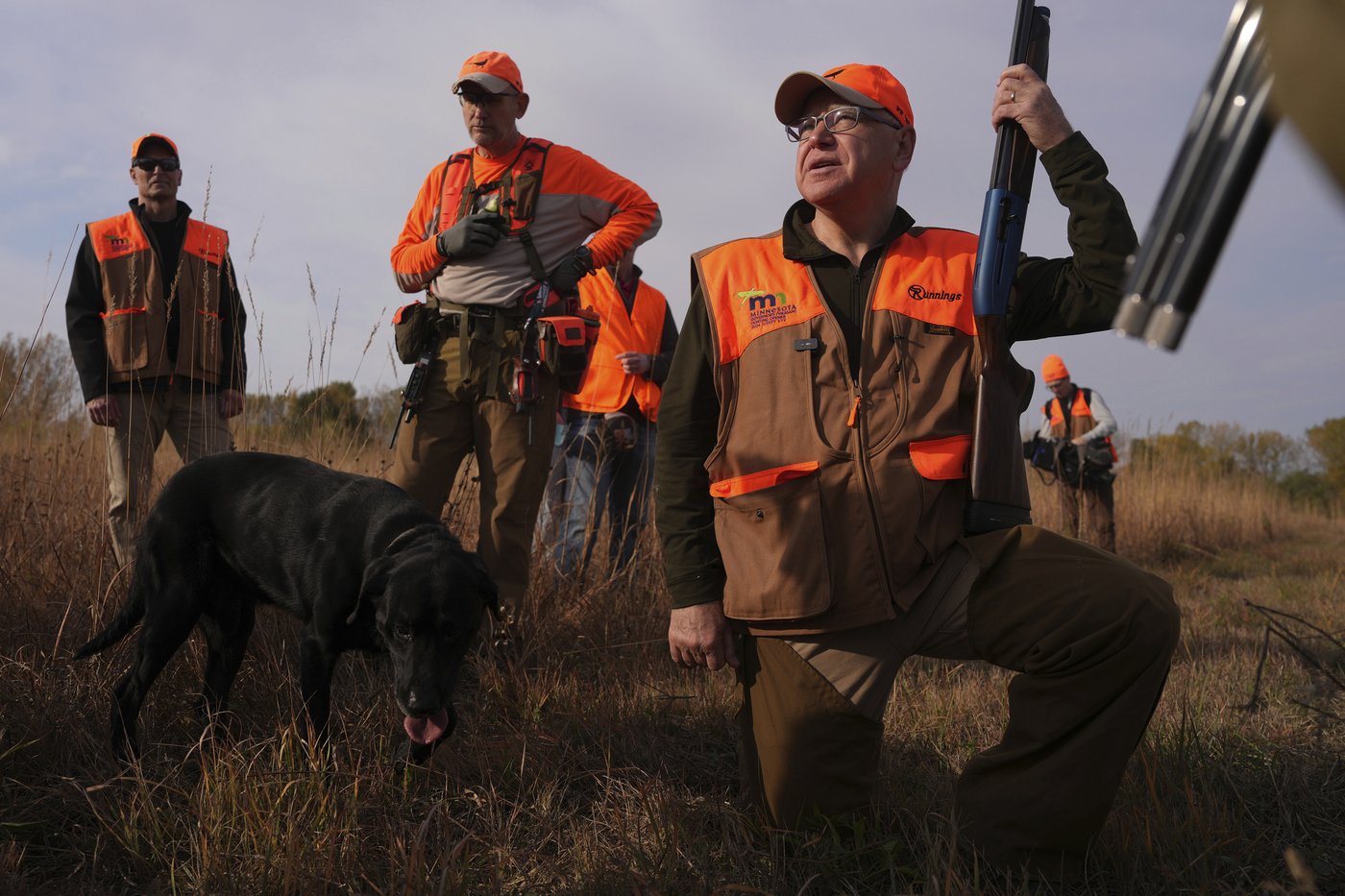 Walz tramps through tall grass but bags no birds as pheasant hunting season opens | iNFOnews.ca Walz tramps through tall grass but bags no birds as pheasant hunting season opens | iNFOnews.ca