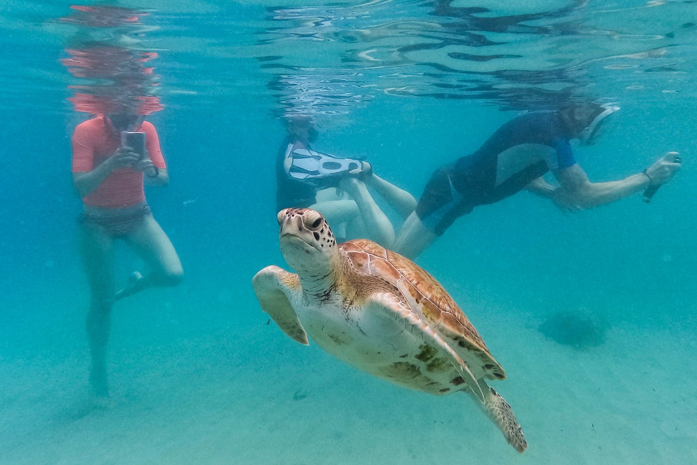 Earth is simmering in its hottest water temps on record, and that's bad for fish and us | iNFOnews.ca Earth is simmering in its hottest water temps on record, and that's bad for fish and us | iNFOnews.ca