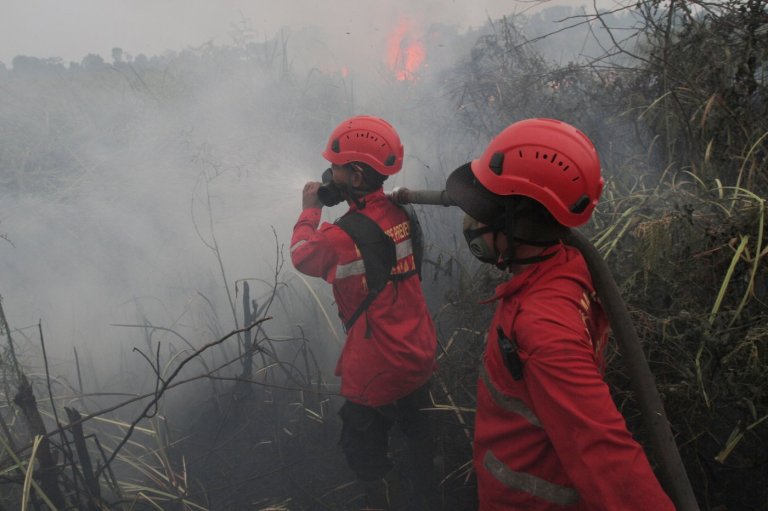 Muslims gather for rain prayers in Indonesia's wildfire-hit South Sumatra | iNFOnews.ca