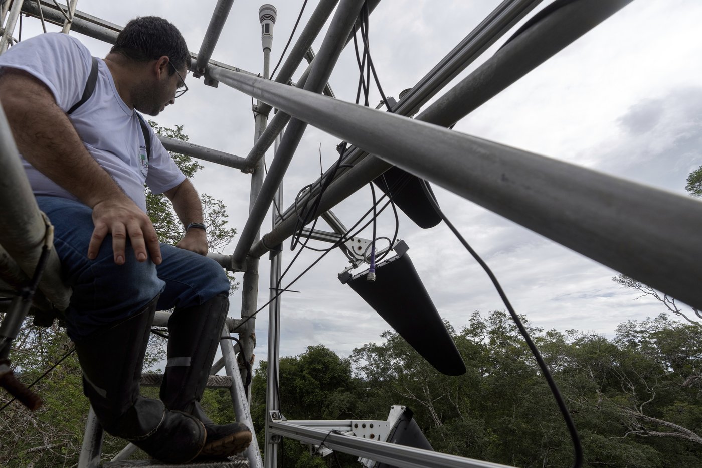 What would happen if the Amazon rainforest dried out? This decades-long experiment has some answers | iNFOnews.ca